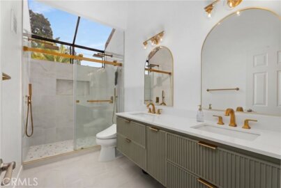 17172 Abalone #211 Photo